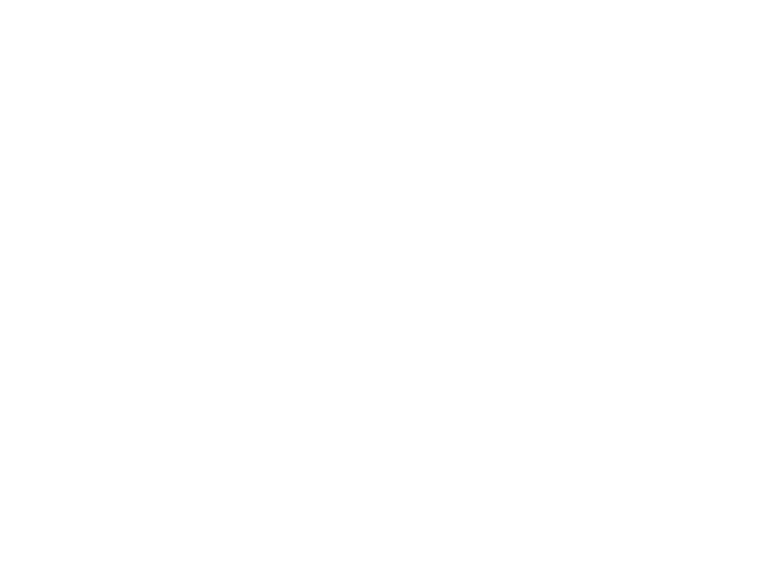WLV Plumbing & Heating main logo white