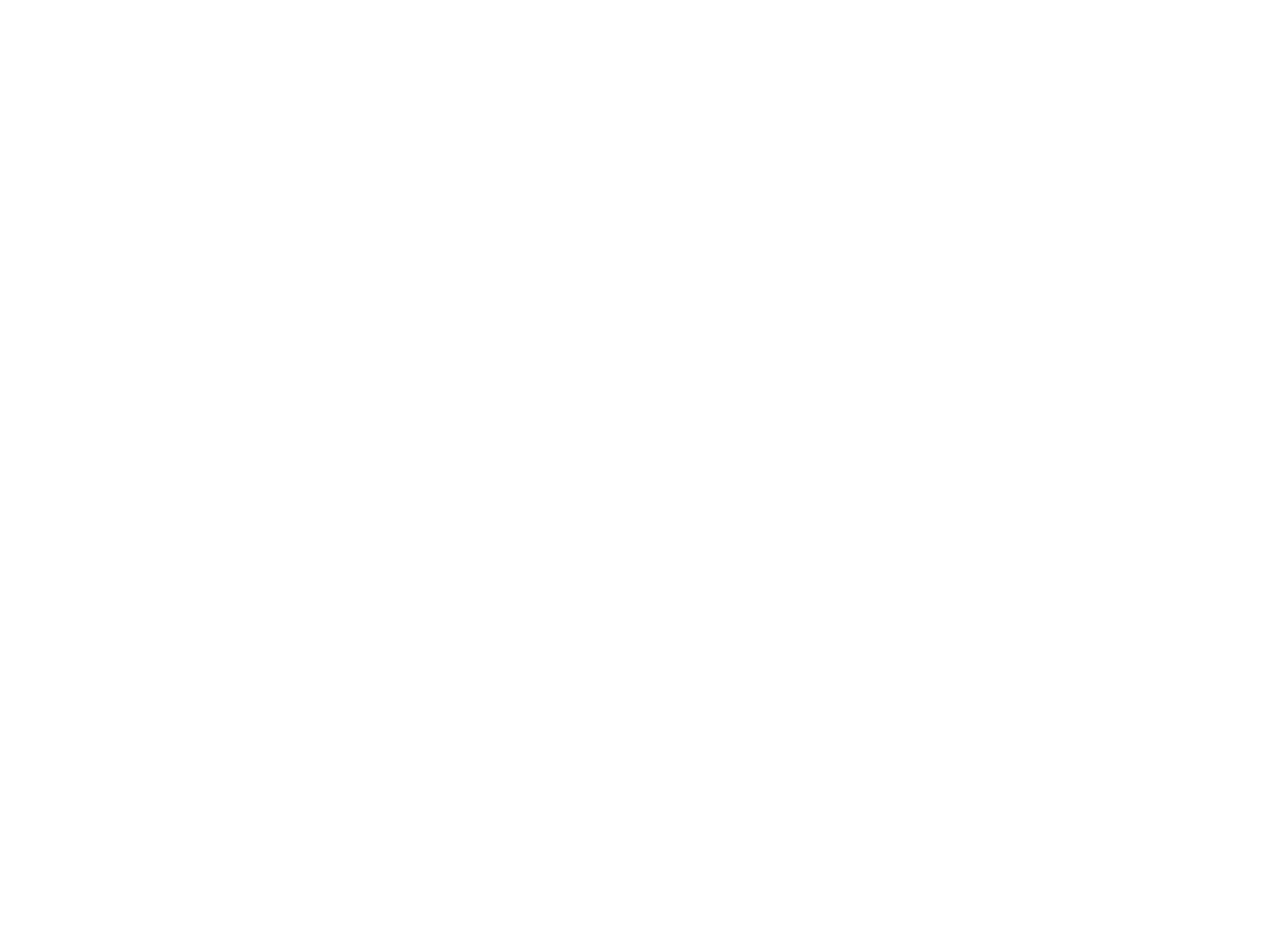 WLV Plumbing & Heating main logo white